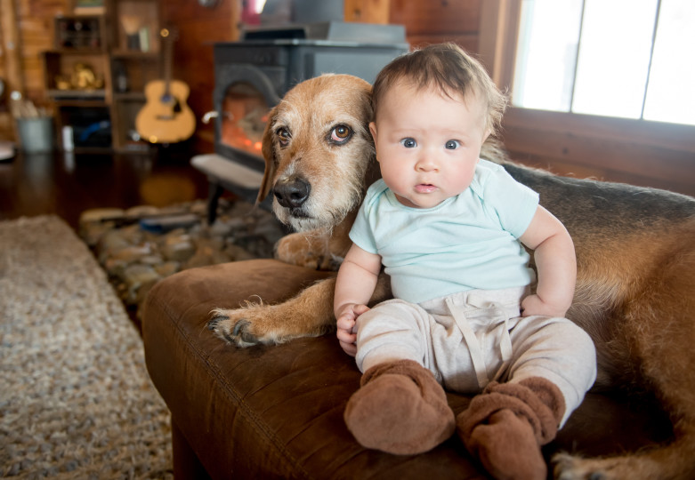 Otis and Bailey