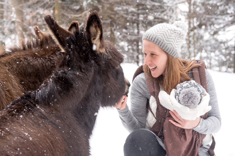 close up with donkeys