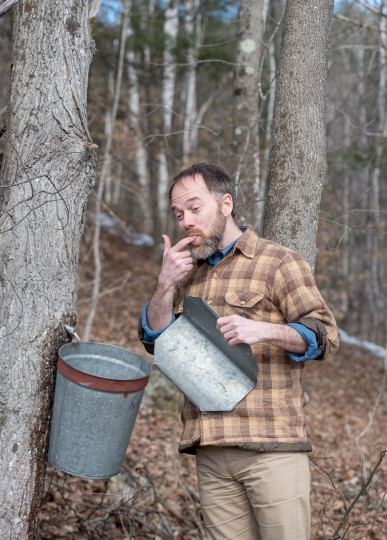 andrew tasting the sap