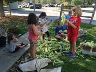 corn shucking